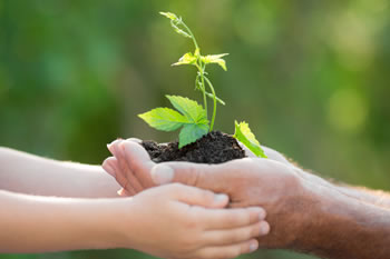 Manage Investments